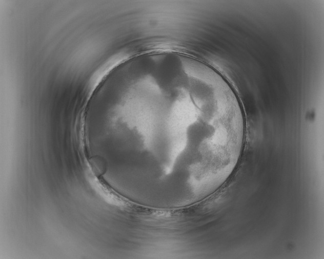 X0000113071098200909110934