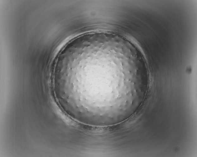 X0000113071099200909110934