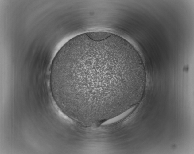 X0000113071102200909110934