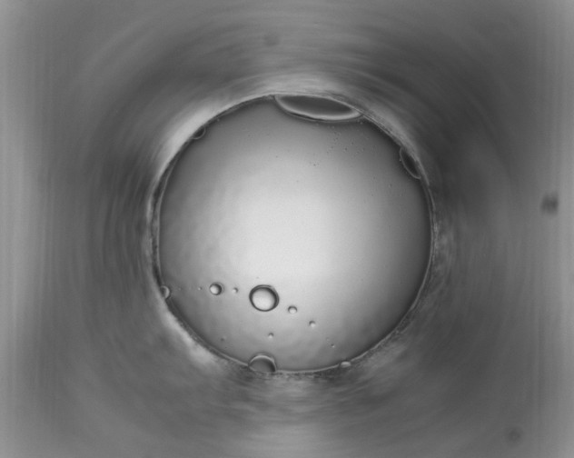 X0000113071103200909110934