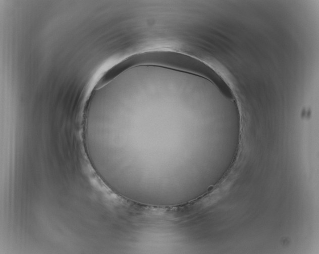 X0000113071104200909110934