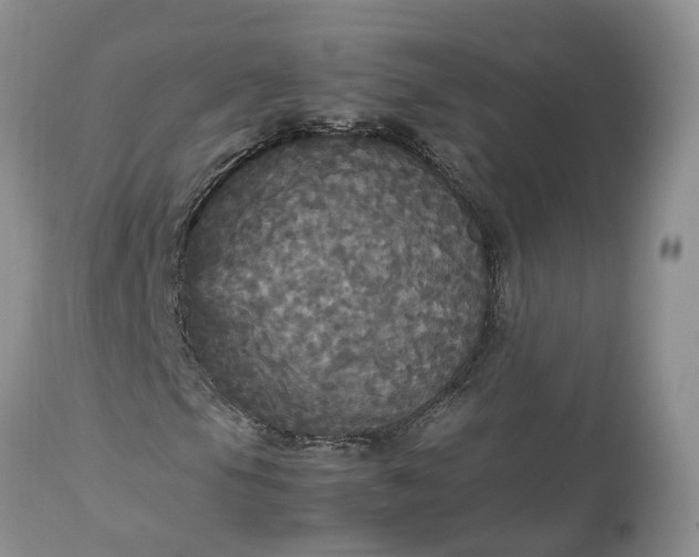 X0000113071105200909110933