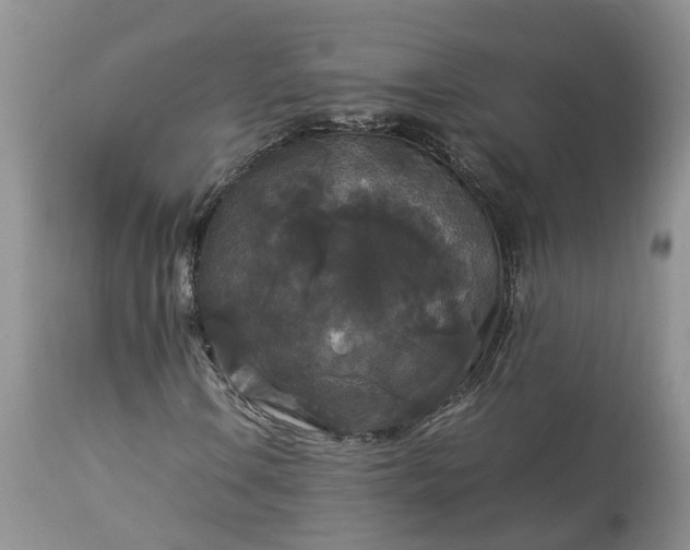 X0000113071106200909110933