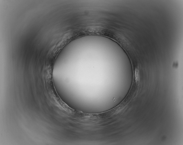 X0000113071107200909110933