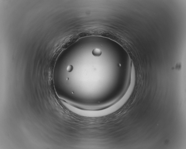 X0000113071108200909110933