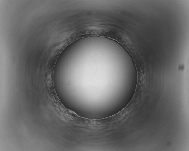 X0000113071109200909110933