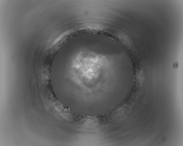 X0000113071110200909110933