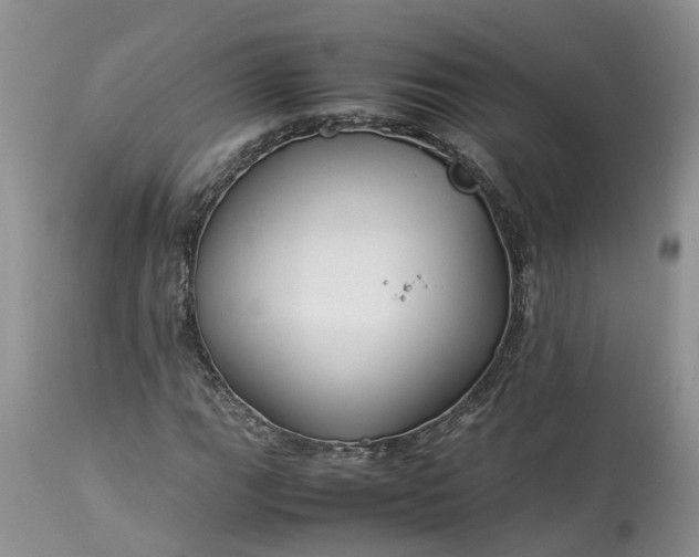 X0000113071111200909110933