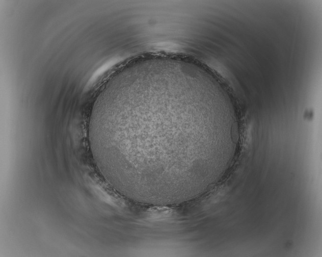 X0000113071112200909110933