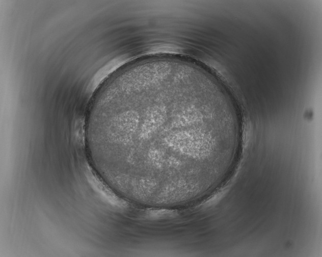 X0000113071113200909110933