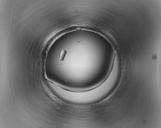 X0000113071114200909110933