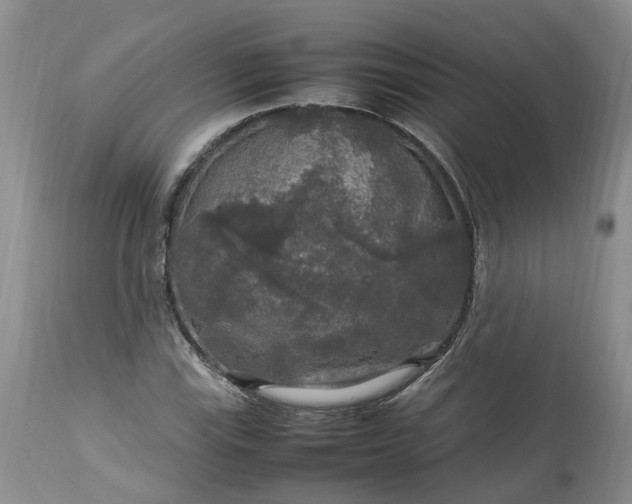 X0000113071115200909110933