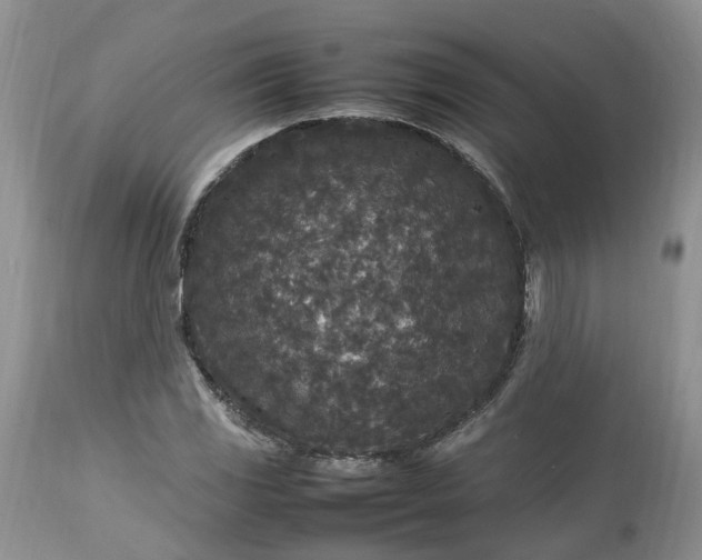 X0000113071117200909110933