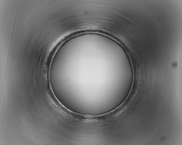 X0000113071118200909110933