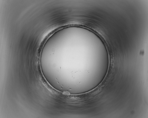 X0000113071119200909110933