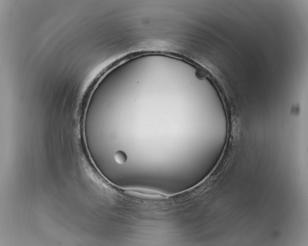 X0000113071120200909110933