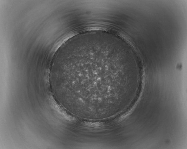 X0000113071121200909110933