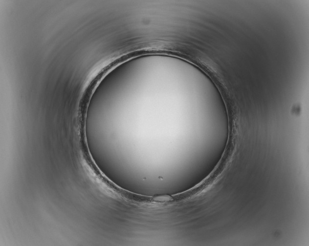 X0000113071122200909110933