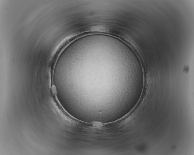 X0000113071123200909110933