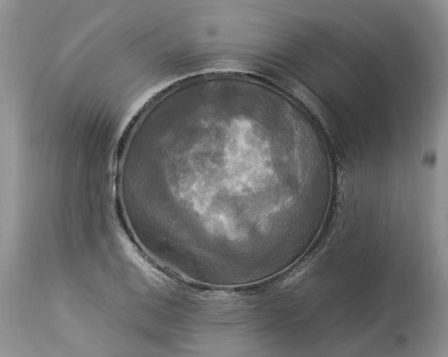 X0000113071124200909110933