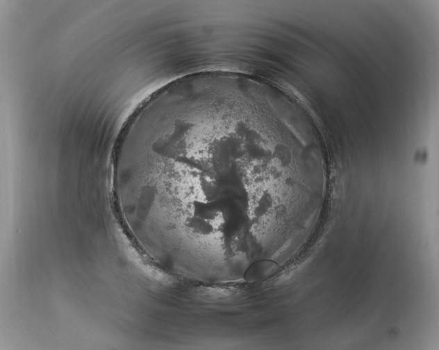 X0000113071125200909110933