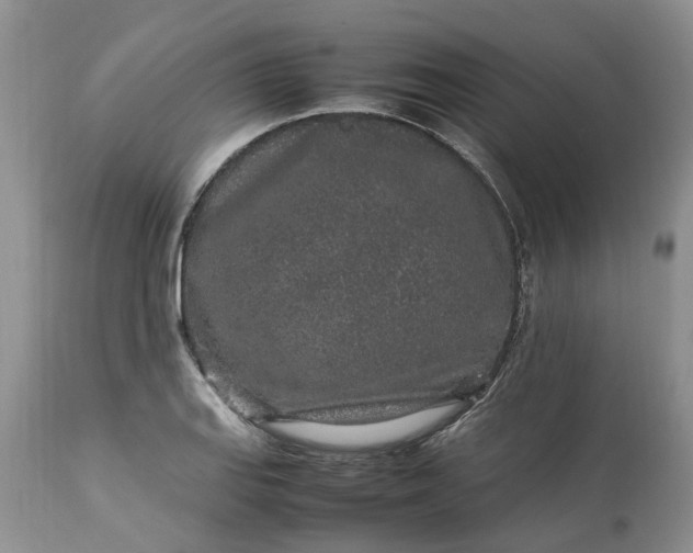 X0000113071127200909110933