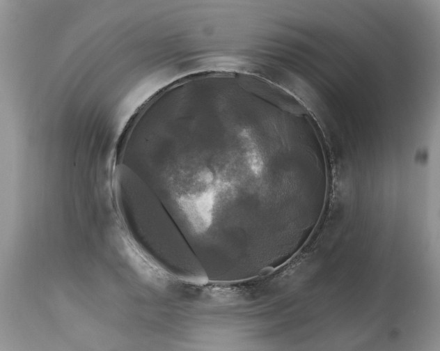 X0000113071128200909110933