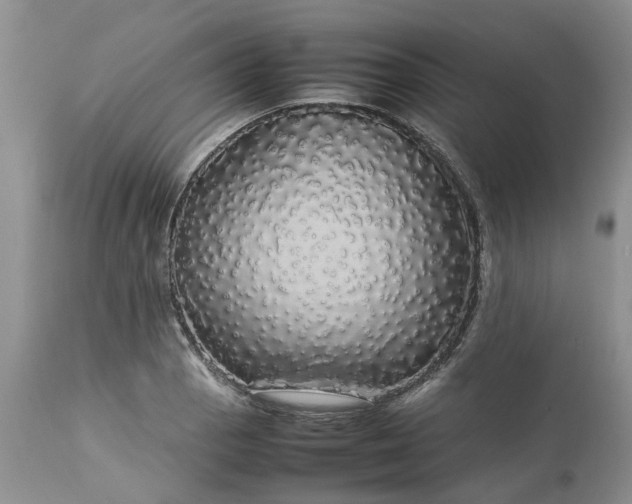 X0000113071129200909110934