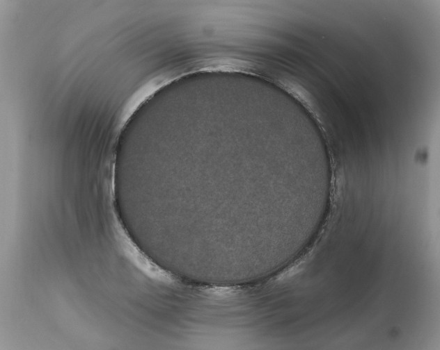 X0000113071130200909110934