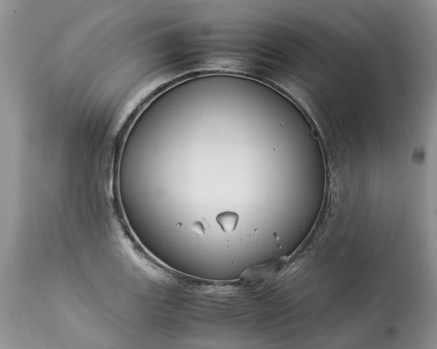 X0000113071131200909110934