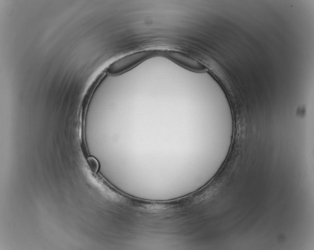 X0000113071132200909110934