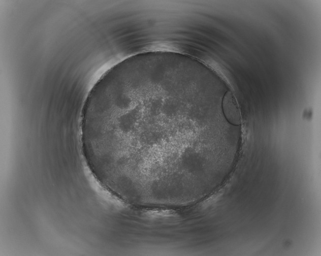 X0000113071133200909110934