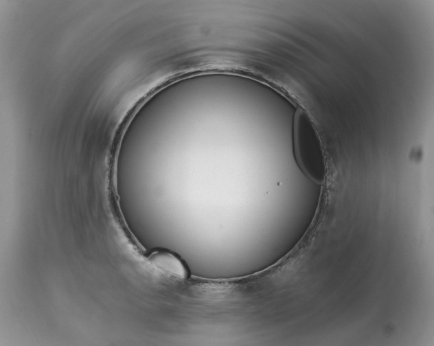 X0000113071134200909110934