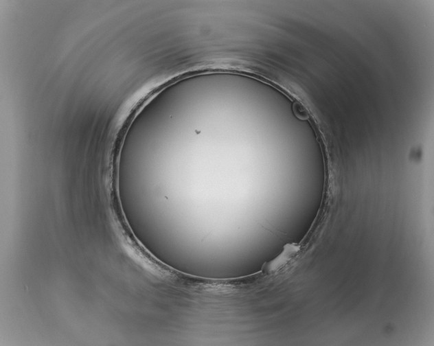 X0000113071136200909110934