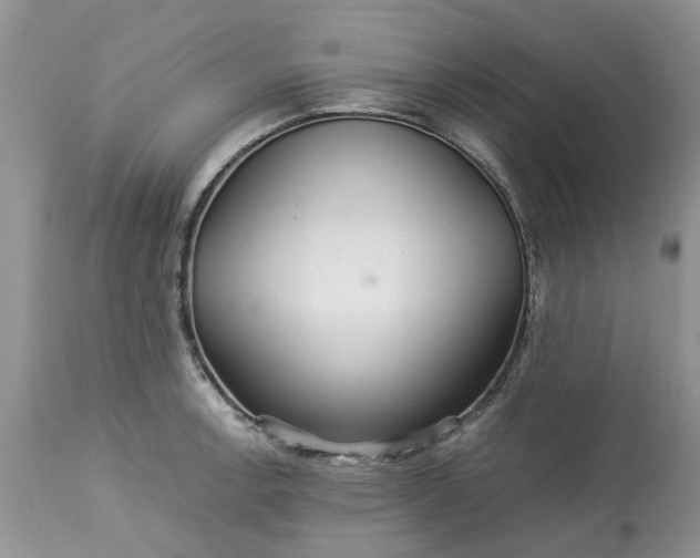 X0000113071138200909110934