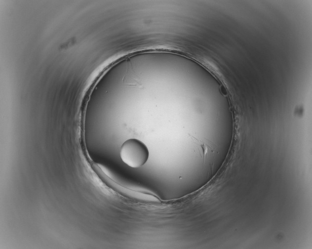 X0000113071140200909110934