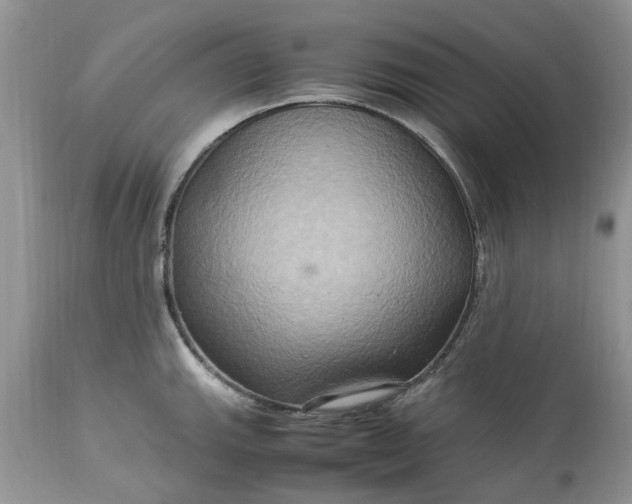 X0000113071143200909110934