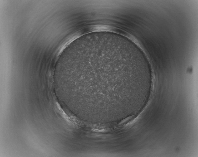 X0000113071145200909110934