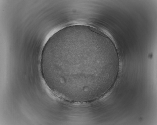 X0000113071146200909110934