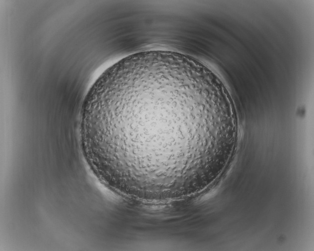 X0000113071149200909110934