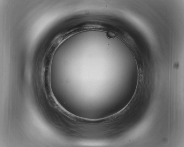 X0000113071151200909110934