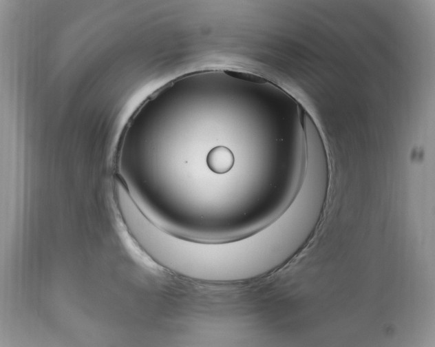 X0000113071152200909110934