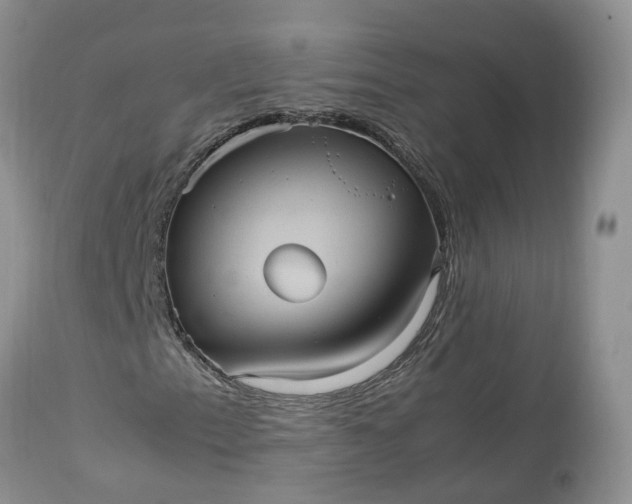 X0000113071153200909110933