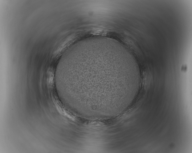 X0000113071154200909110933