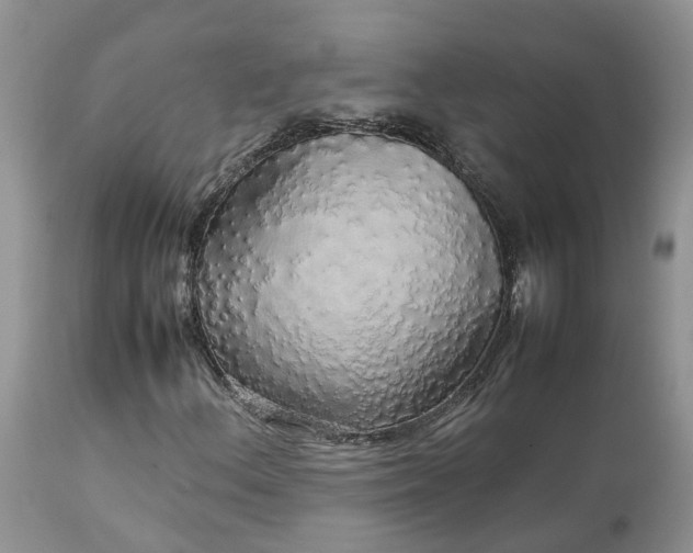 X0000113071156200909110933