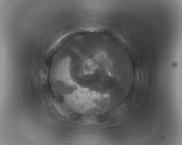 X0000113071158200909110933