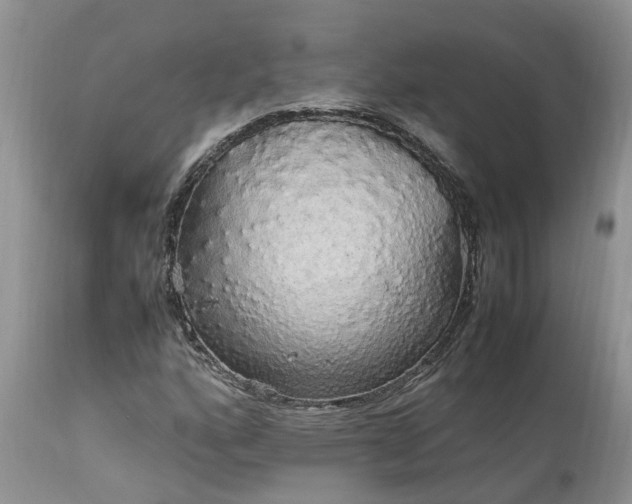 X0000113071160200909110933