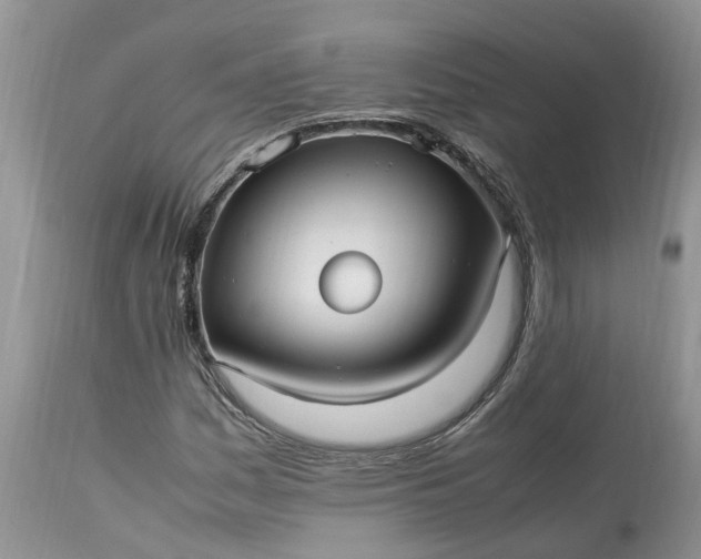 X0000113071161200909110933