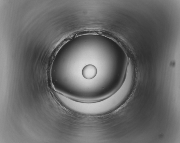 X0000113071162200909110933