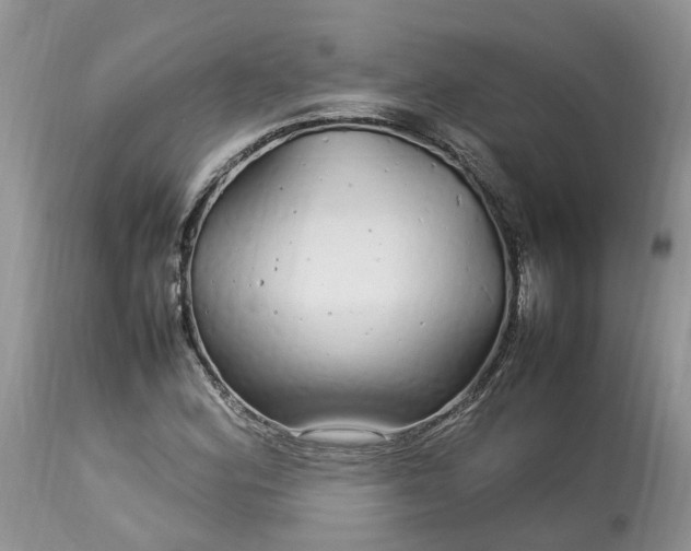 X0000113071164200909110933